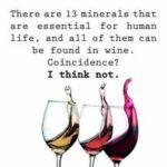 wine sayings